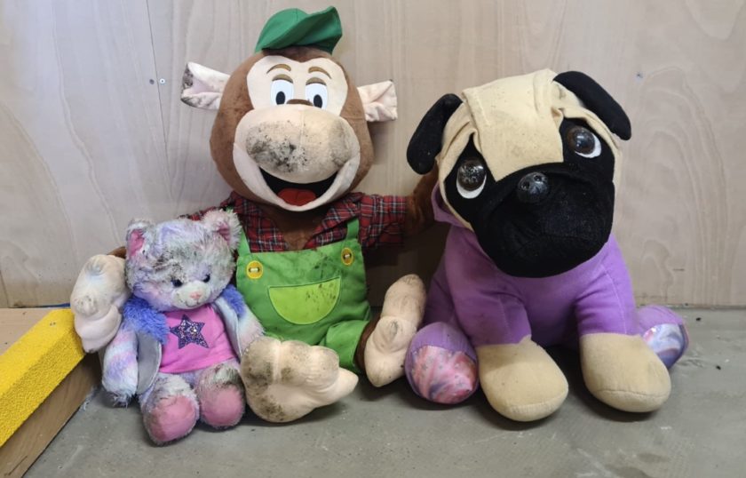 Help sought to find owners of cuddly buddies found on A494 St David’s Interchange in Ewloe