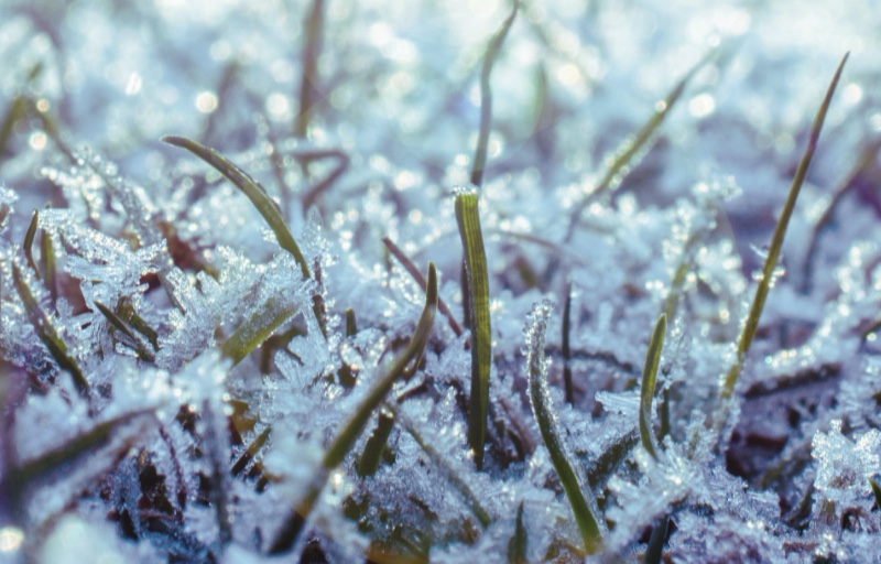 Met Office: First widespread frost of Autumn for much of Wales and England expected tonight