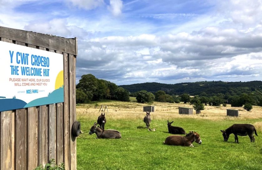 Log cabins, glamping pods and new jobs among plans for Moel Famau donkey attraction in 2024