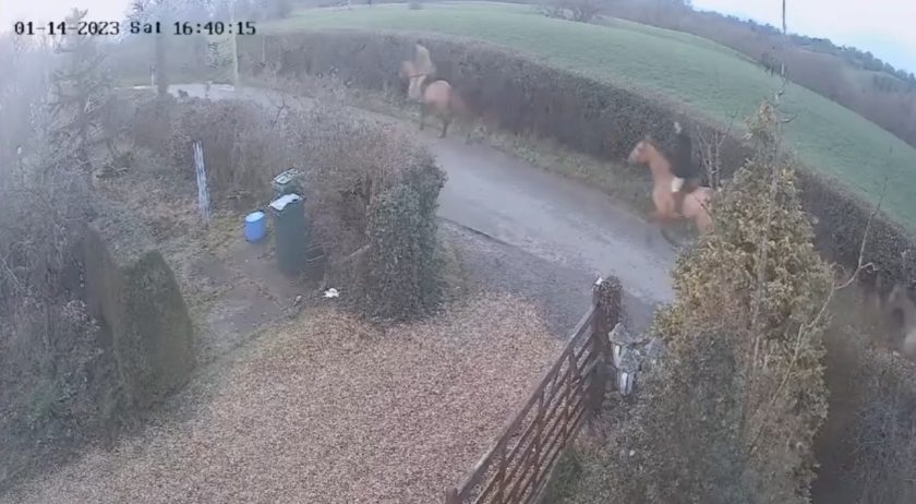 North Wales Police release video after huntsman fined for ‘hunting a fox’
