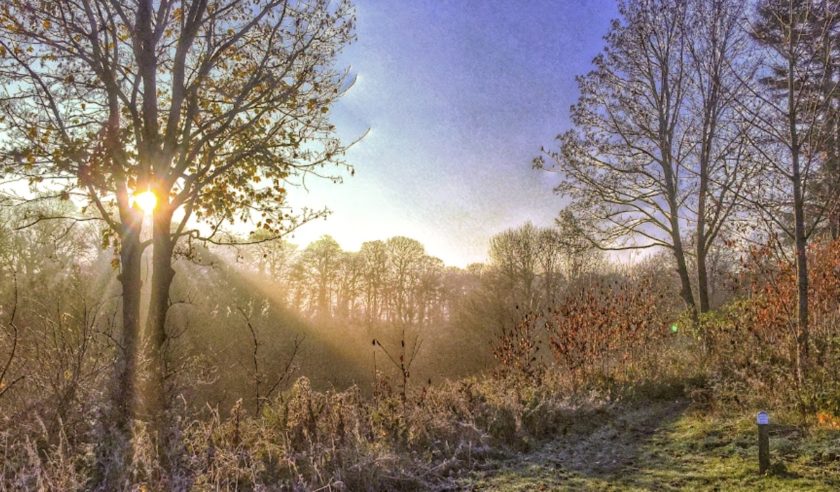 News and Info from Deeside, Flintshire, North Wales
