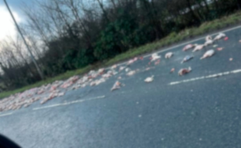 News and Info from Deeside, Flintshire, North Wales