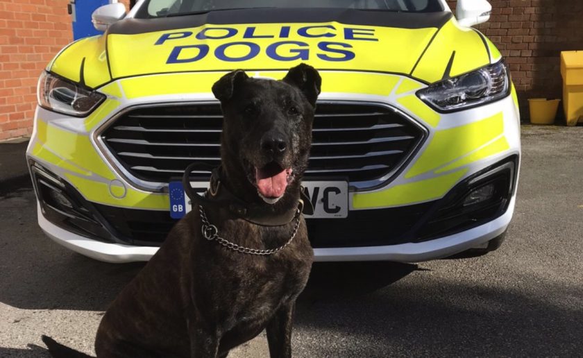 Cheshire and North Wales Police Dogs team announce passing of PD Nitro