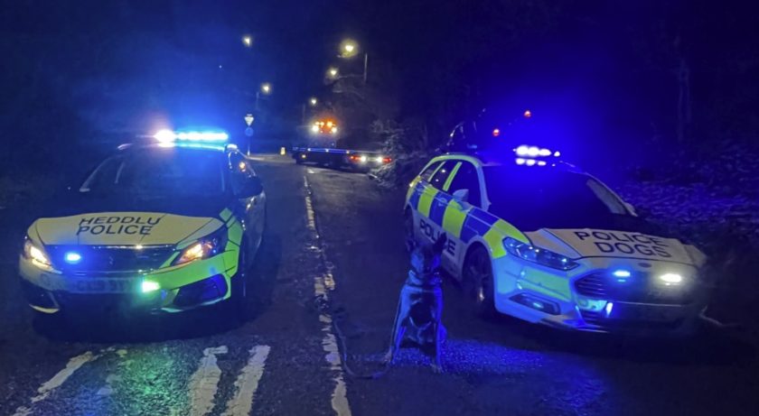 Flintshire: Crime-fighting canine assists in tracking down driver who fled crash scene