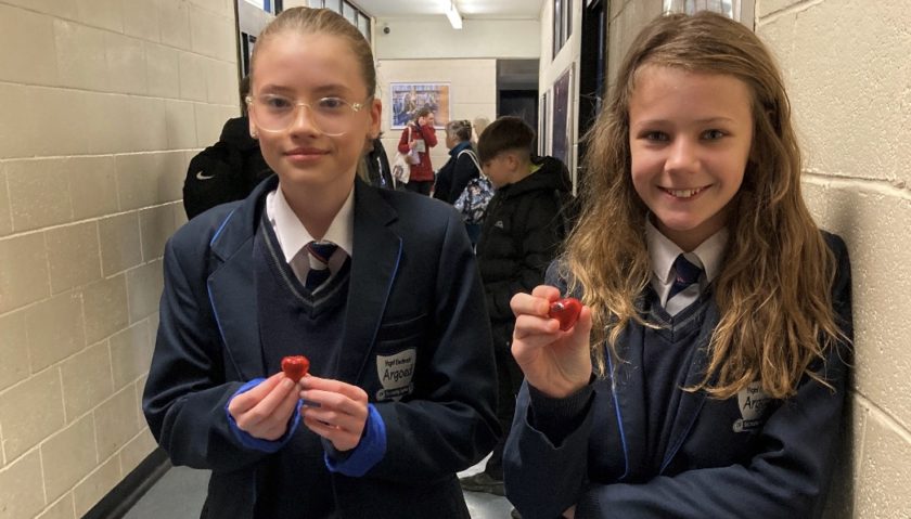 Love is in the air thanks to Flintshire school’s novel initiative