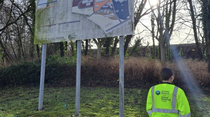 News and Info from Deeside, Flintshire, North Wales 