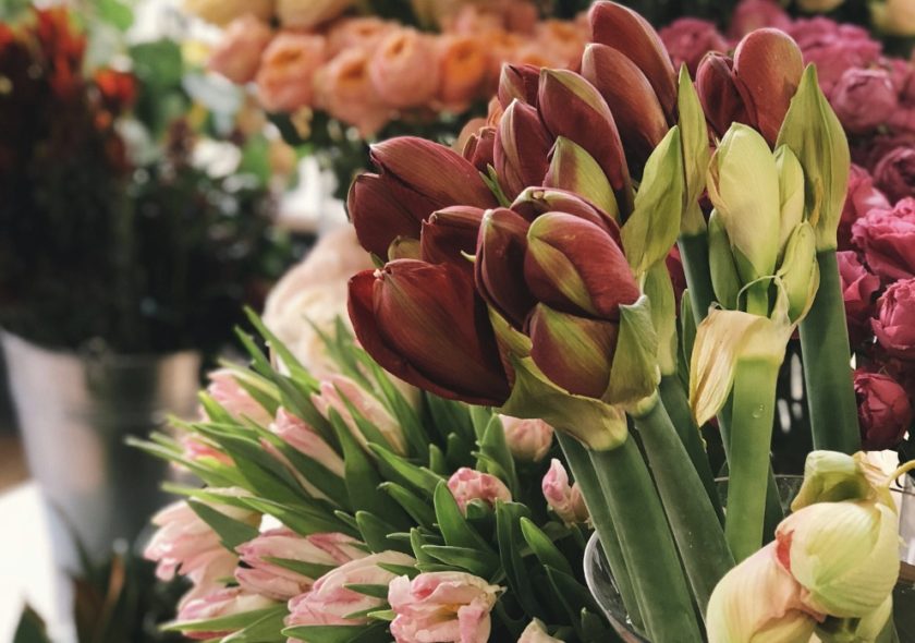 Gardening expert shares simple 5p trick to make Mother’s Day flowers last longer