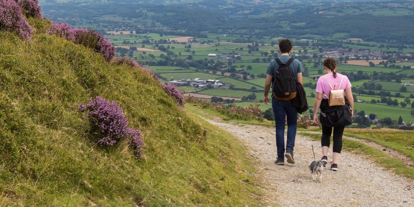 News and Info from Deeside, Flintshire, North Wales