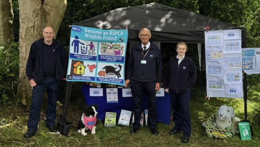News and Info from Deeside, Flintshire, North Wales