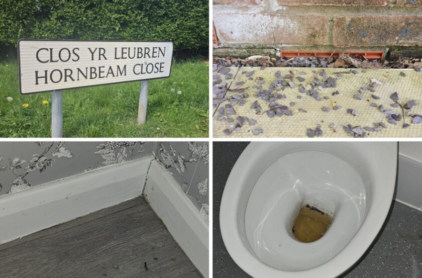 News and Info from Deeside, Flintshire, North Wales