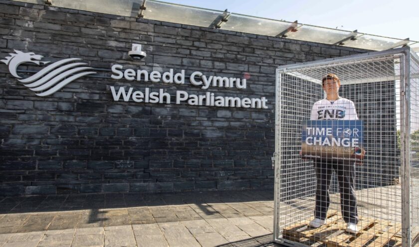 News and Info from Deeside, Flintshire, North Wales
