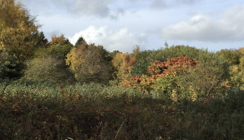 News and Info from Deeside, Flintshire, North Wales