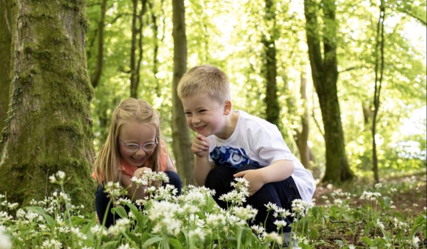 News and Info from Deeside, Flintshire, North Wales