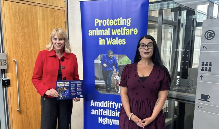 Wales leads UK for concern over animal welfare, says RSPCA