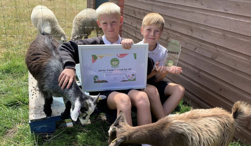 News and Info from Deeside, Flintshire, North Wales