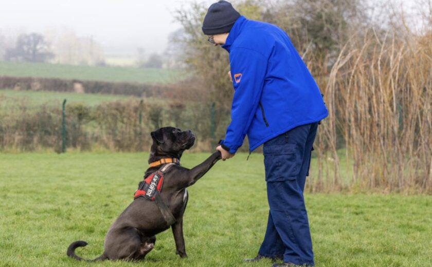 News and Info from Deeside, Flintshire, North Wales 