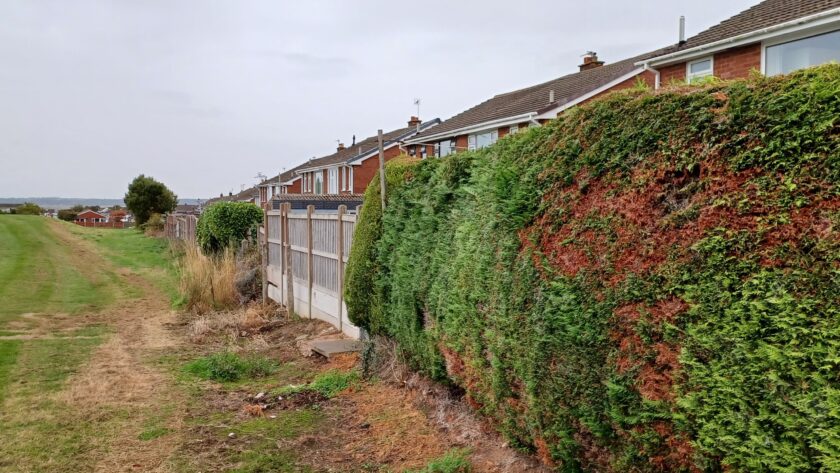 News and Info from Deeside, Flintshire, North Wales