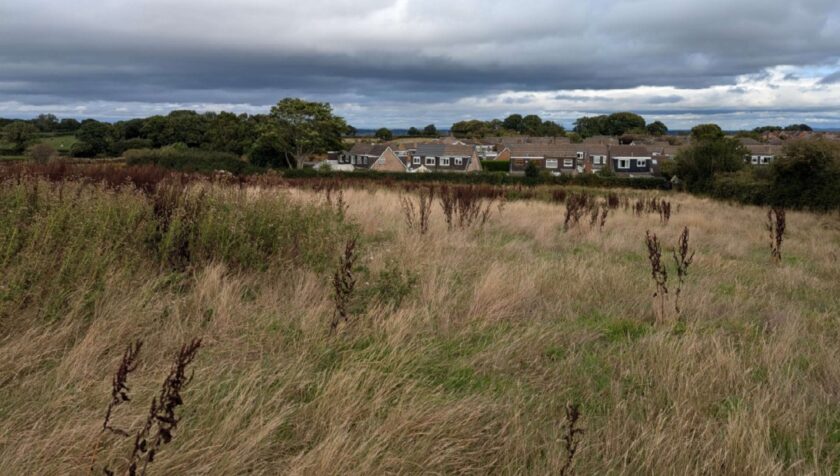 News and Info from Deeside, Flintshire, North Wales