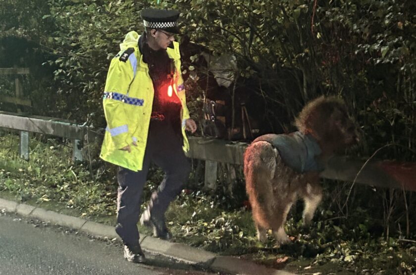 News and Info from Deeside, Flintshire, North Wales
