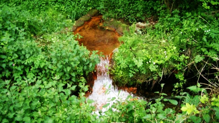 News and Info from Deeside, Flintshire, North Wales 