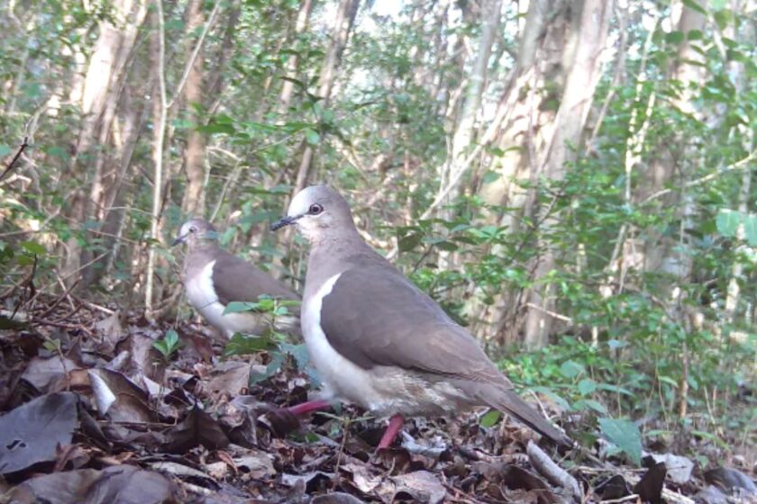 News and Info from Deeside, Flintshire, North Wales