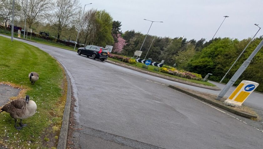 News and Info from Deeside, Flintshire, North Wales 