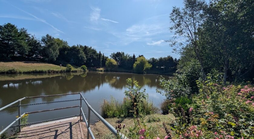 News and Info from Deeside, Flintshire, North Wales 