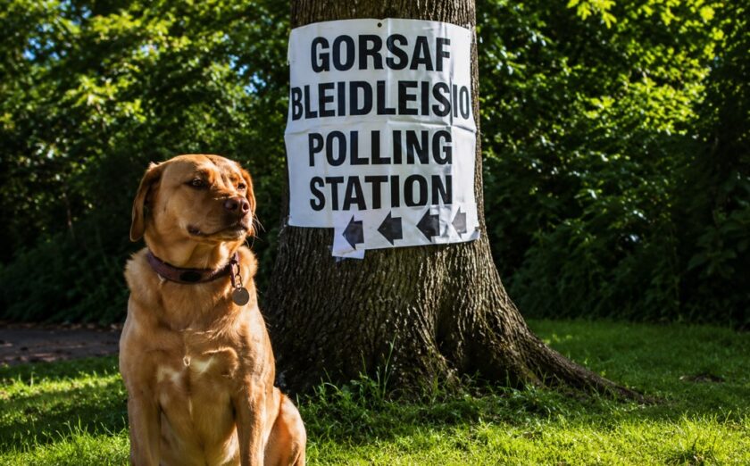 News and Info from Deeside, Flintshire, North Wales