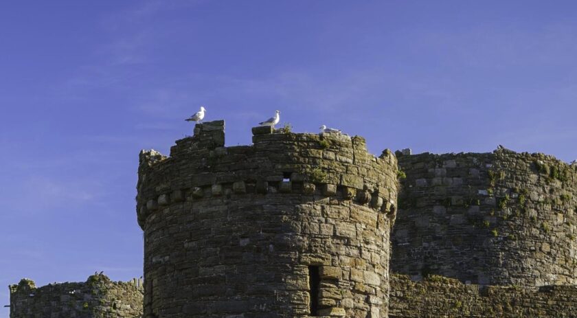 News and Info from Deeside, Flintshire, North Wales
