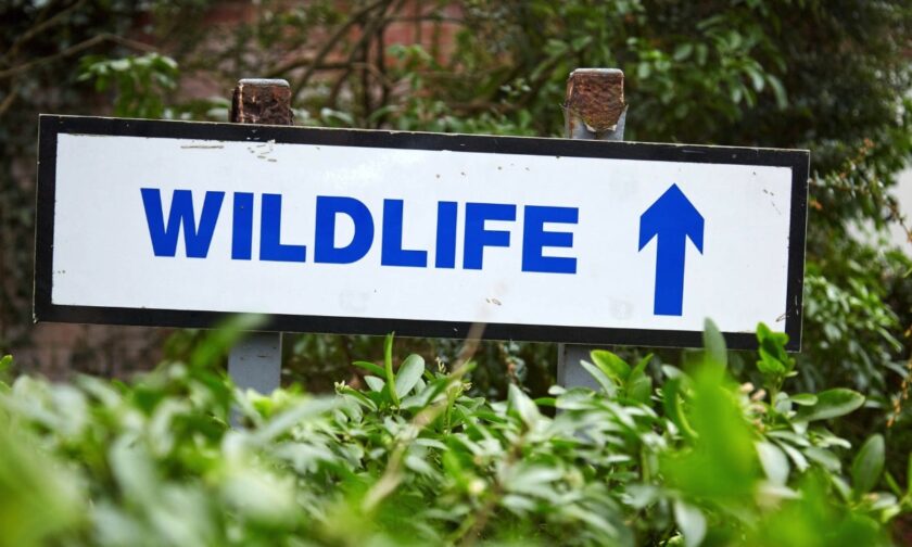 News and Info from Deeside, Flintshire, North Wales