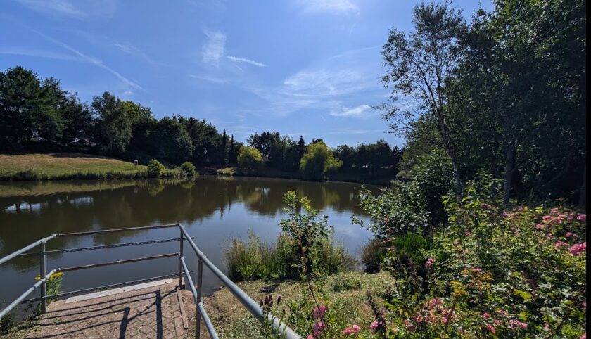 News and Info from Deeside, Flintshire, North Wales