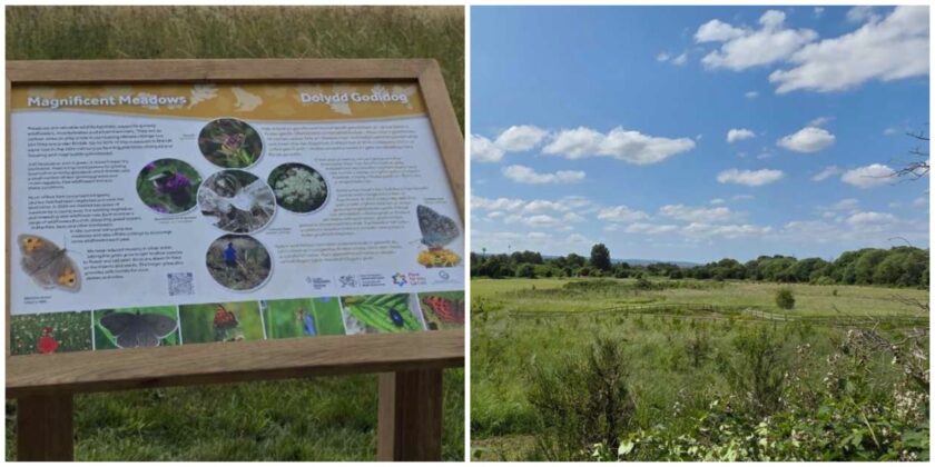 News and Info from Deeside, Flintshire, North Wales 